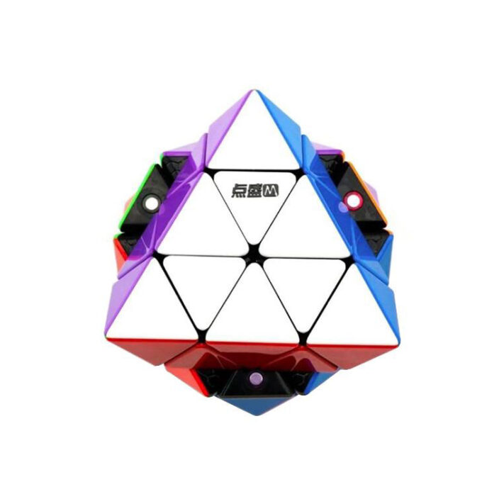 DianSheng FTO Magnetic